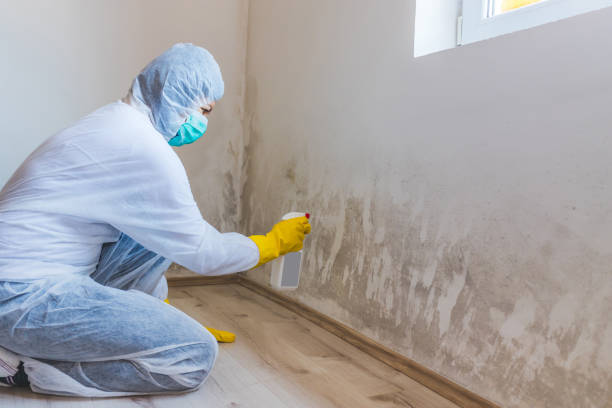 Licensed Commercial Mold Remediation service in Boiling Springs, NC - WQB Mold Removal