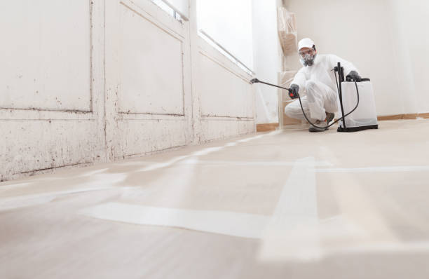 24/7 Emergency Commercial Mold Remediation experts in Boiling Springs, NC