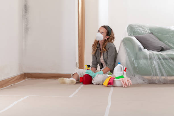 Reliable Commercial Mold Remediation contractor in Boiling Springs, NC by WQB Mold Removal